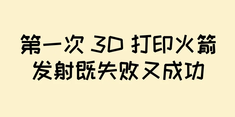 第一次 3D 打印火箭发射既失败又成功