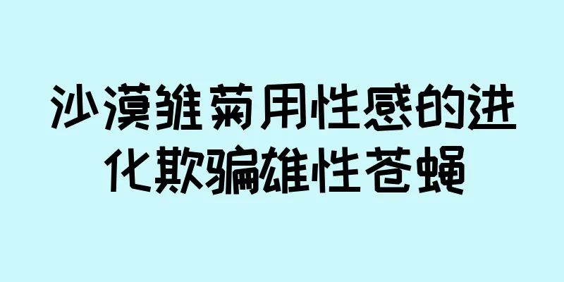 沙漠雏菊用性感的进化欺骗雄性苍蝇
