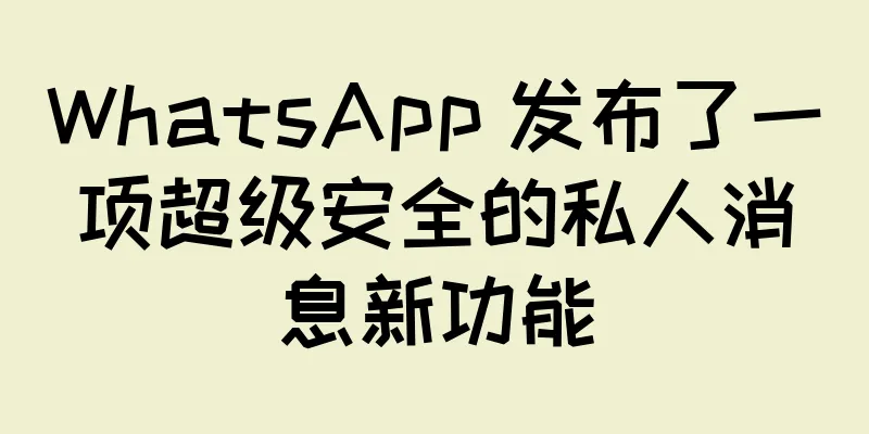 WhatsApp 发布了一项超级安全的私人消息新功能