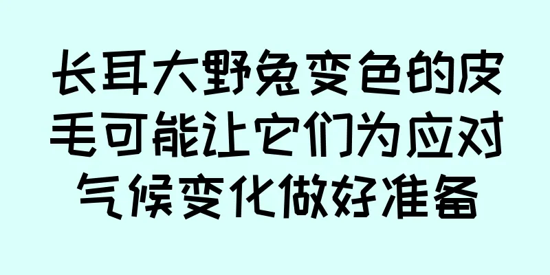长耳大野兔变色的皮毛可能让它们为应对气候变化做好准备