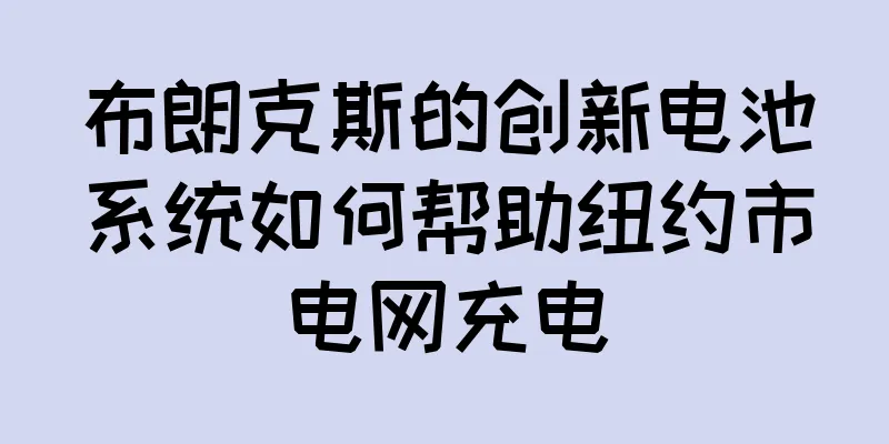 布朗克斯的创新电池系统如何帮助纽约市电网充电