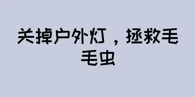 关掉户外灯，拯救毛毛虫