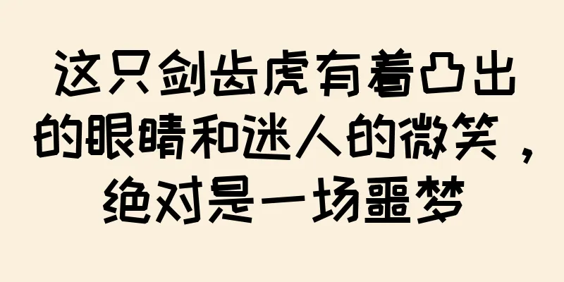 这只剑齿虎有着凸出的眼睛和迷人的微笑，绝对是一场噩梦