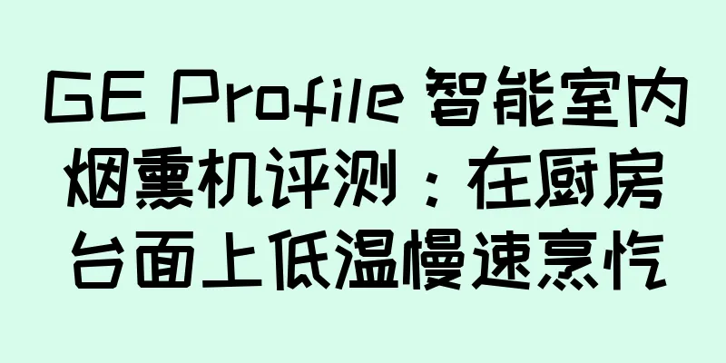 GE Profile 智能室内烟熏机评测：在厨房台面上低温慢速烹饪
