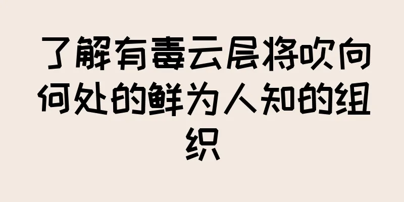 了解有毒云层将吹向何处的鲜为人知的组织