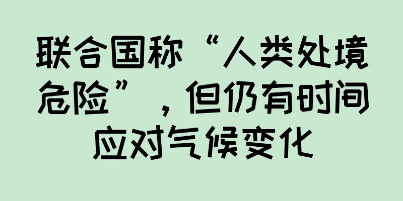 联合国称“人类处境危险”，但仍有时间应对气候变化