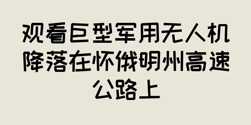 观看巨型军用无人机降落在怀俄明州高速公路上