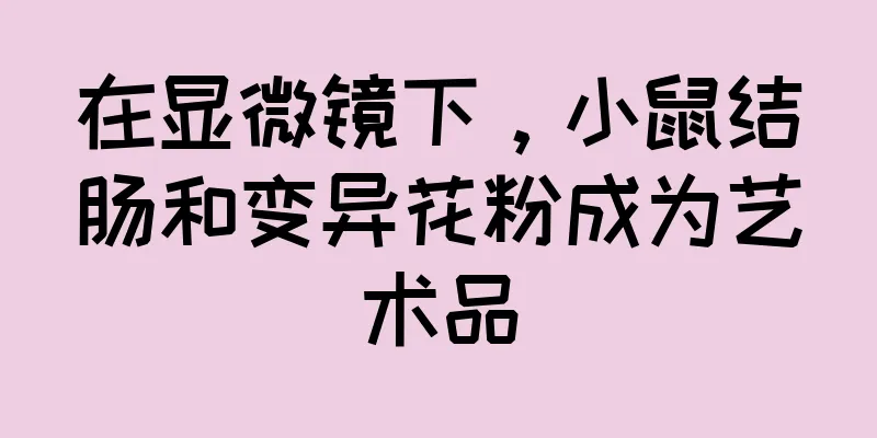 在显微镜下，小鼠结肠和变异花粉成为艺术品