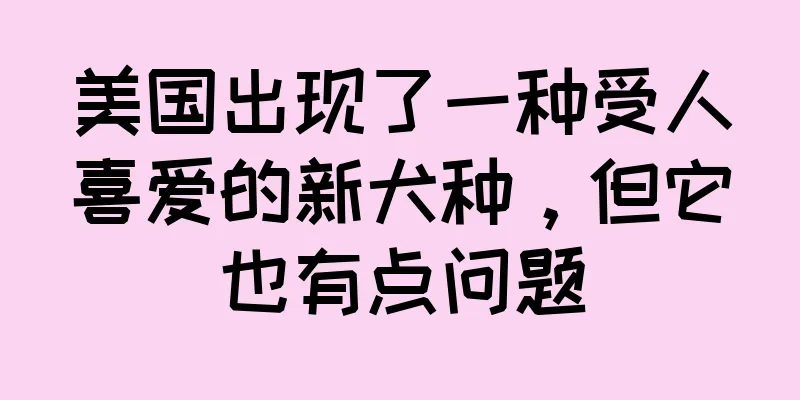 美国出现了一种受人喜爱的新犬种，但它也有点问题