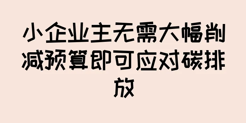 小企业主无需大幅削减预算即可应对碳排放