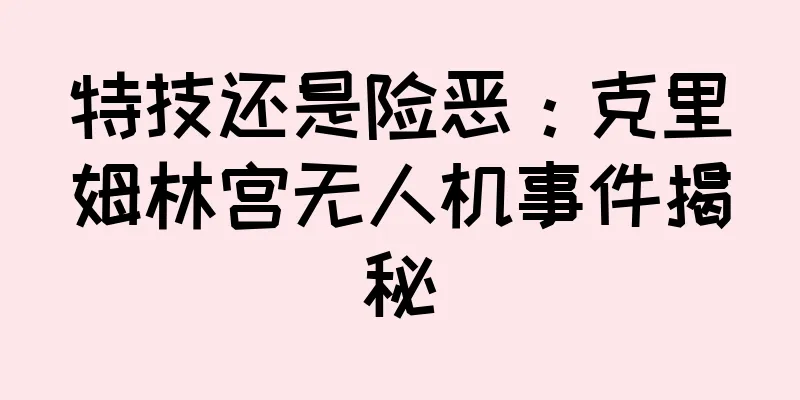 特技还是险恶：克里姆林宫无人机事件揭秘