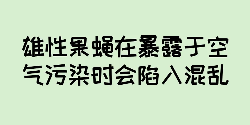 雄性果蝇在暴露于空气污染时会陷入混乱