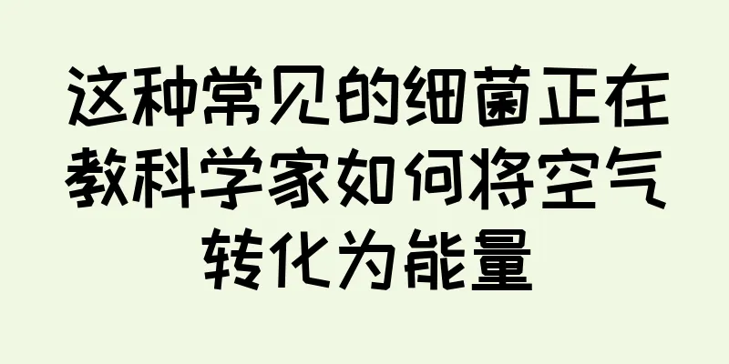 这种常见的细菌正在教科学家如何将空气转化为能量