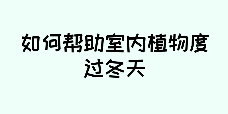 如何帮助室内植物度过冬天