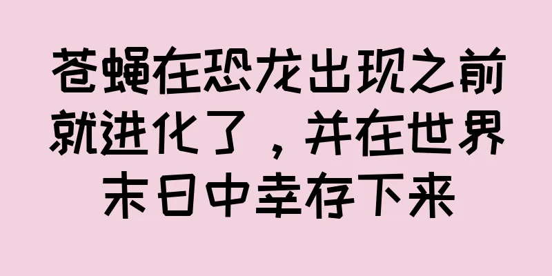 苍蝇在恐龙出现之前就进化了，并在世界末日中幸存下来