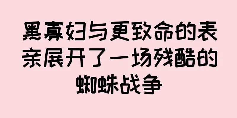 黑寡妇与更致命的表亲展开了一场残酷的蜘蛛战争