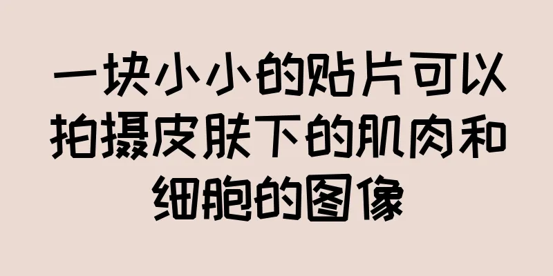 一块小小的贴片可以拍摄皮肤下的肌肉和细胞的图像