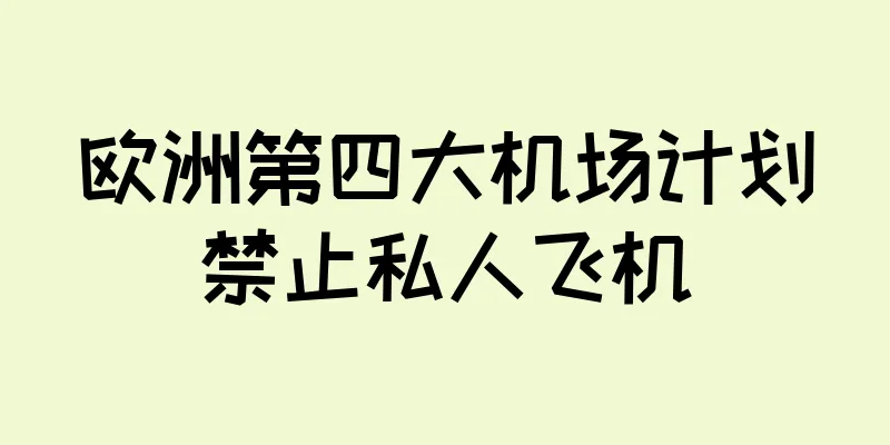 欧洲第四大机场计划禁止私人飞机