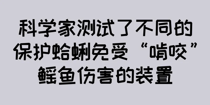 科学家测试了不同的保护蛤蜊免受“啃咬”鳐鱼伤害的装置