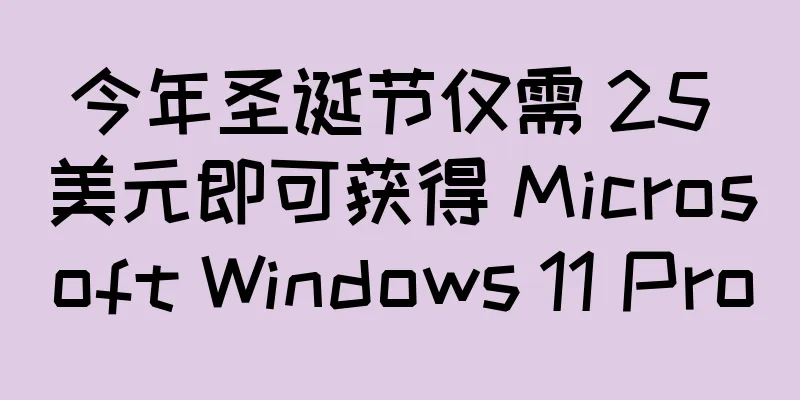 今年圣诞节仅需 25 美元即可获得 Microsoft Windows 11 Pro