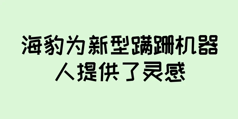 海豹为新型蹒跚机器人提供了灵感