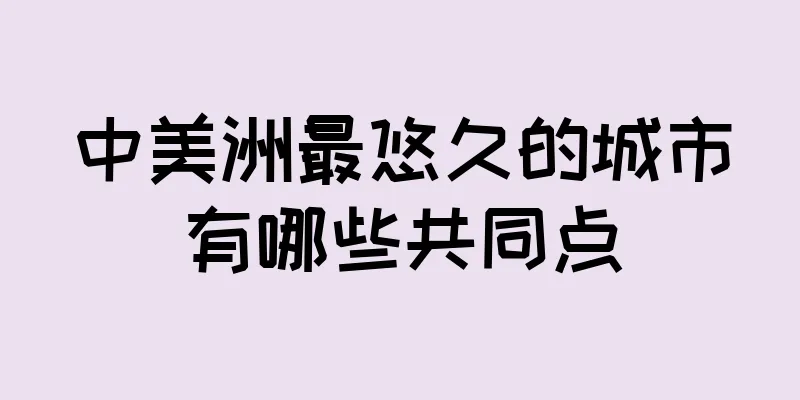 中美洲最悠久的城市有哪些共同点