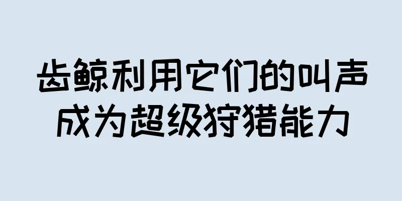 齿鲸利用它们的叫声成为超级狩猎能力