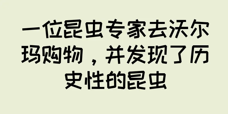 一位昆虫专家去沃尔玛购物，并发现了历史性的昆虫