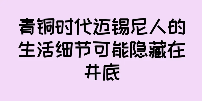 青铜时代迈锡尼人的生活细节可能隐藏在井底