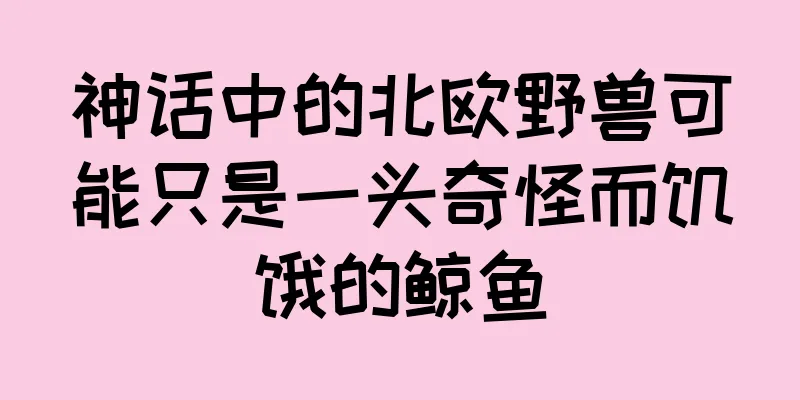 神话中的北欧野兽可能只是一头奇怪而饥饿的鲸鱼
