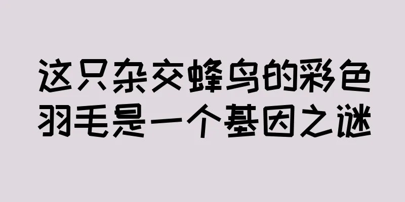 这只杂交蜂鸟的彩色羽毛是一个基因之谜