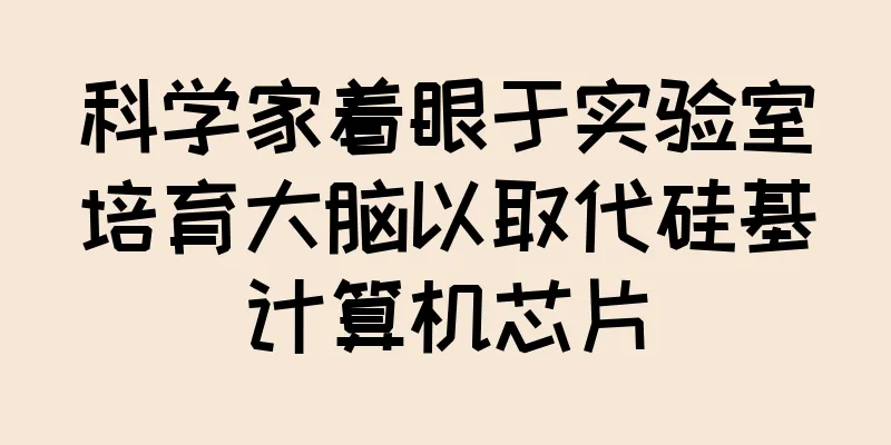 科学家着眼于实验室培育大脑以取代硅基计算机芯片