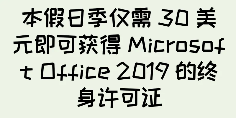 本假日季仅需 30 美元即可获得 Microsoft Office 2019 的终身许可证