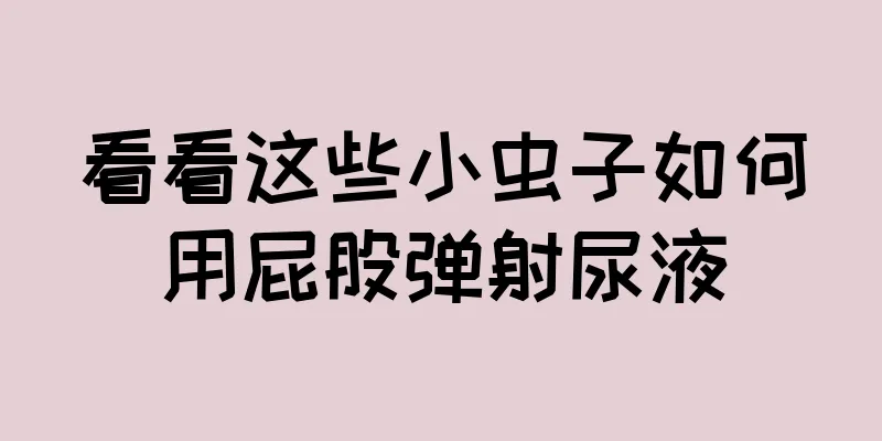 看看这些小虫子如何用屁股弹射尿液