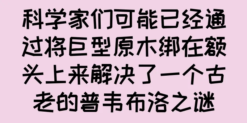科学家们可能已经通过将巨型原木绑在额头上来解决了一个古老的普韦布洛之谜