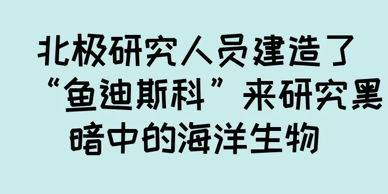北极研究人员建造了“鱼迪斯科”来研究黑暗中的海洋生物