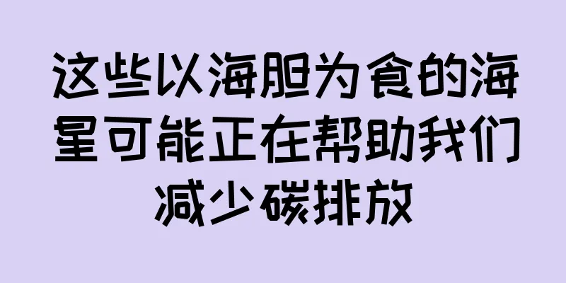 这些以海胆为食的海星可能正在帮助我们减少碳排放