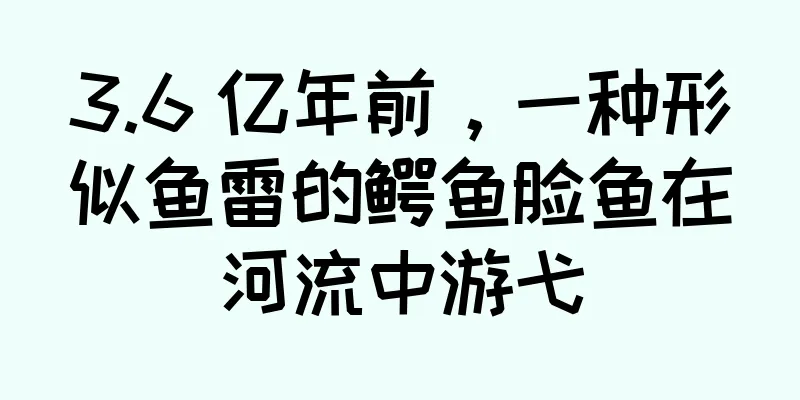 3.6 亿年前，一种形似鱼雷的鳄鱼脸鱼在河流中游弋
