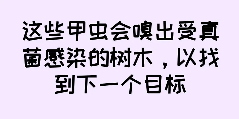 这些甲虫会嗅出受真菌感染的树木，以找到下一个目标