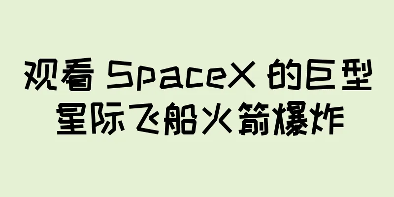观看 SpaceX 的巨型星际飞船火箭爆炸
