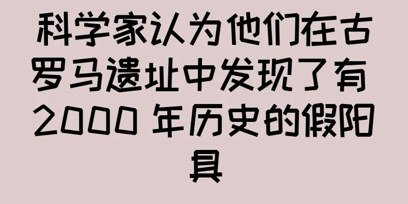 科学家认为他们在古罗马遗址中发现了有 2000 年历史的假阳具