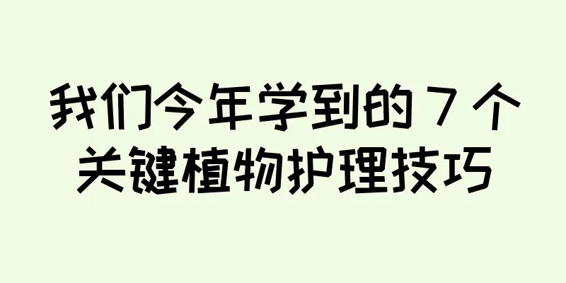 我们今年学到的 7 个关键植物护理技巧