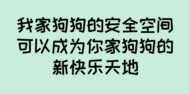 我家狗狗的安全空间可以成为你家狗狗的新快乐天地