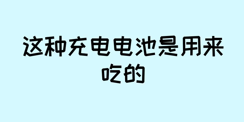 这种充电电池是用来吃的