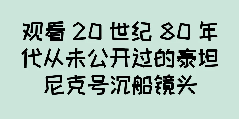观看 20 世纪 80 年代从未公开过的泰坦尼克号沉船镜头