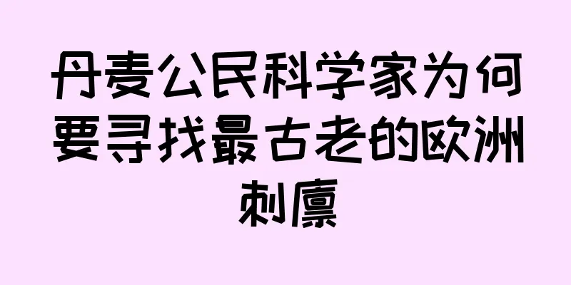 丹麦公民科学家为何要寻找最古老的欧洲刺猬