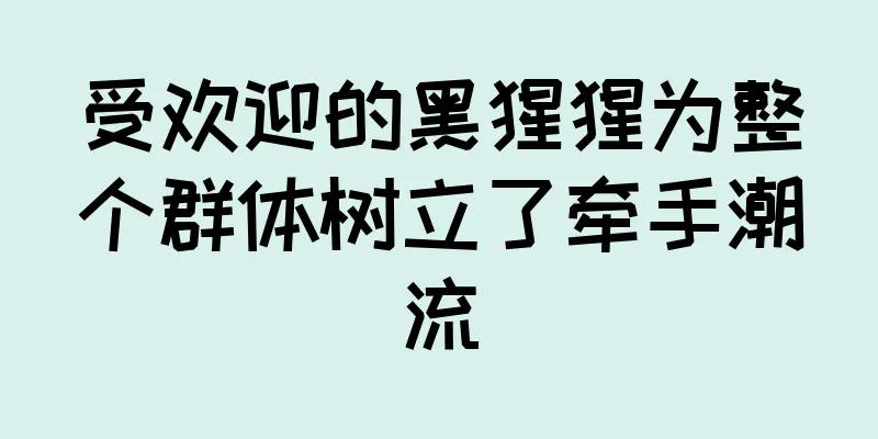 受欢迎的黑猩猩为整个群体树立了牵手潮流