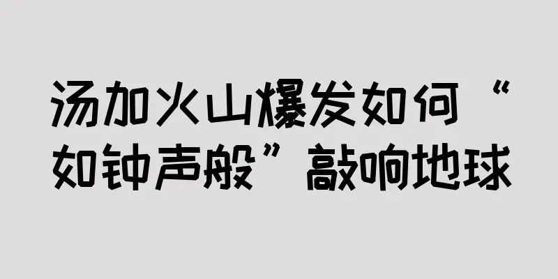 汤加火山爆发如何“如钟声般”敲响地球