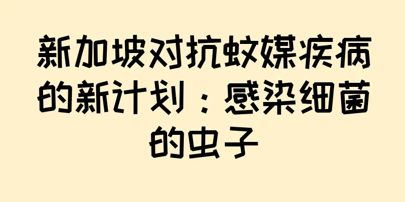 新加坡对抗蚊媒疾病的新计划：感染细菌的虫子