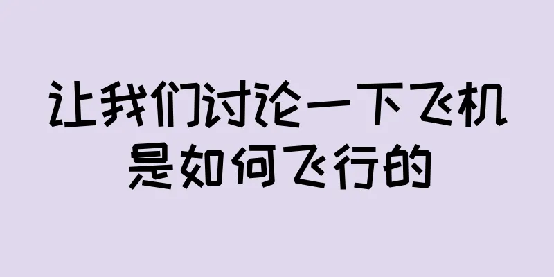 让我们讨论一下飞机是如何飞行的